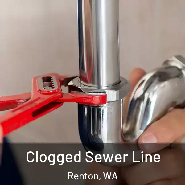  Clogged Sewer Line Renton, WA