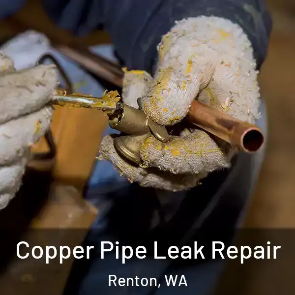  Copper Pipe Leak Repair Renton, WA