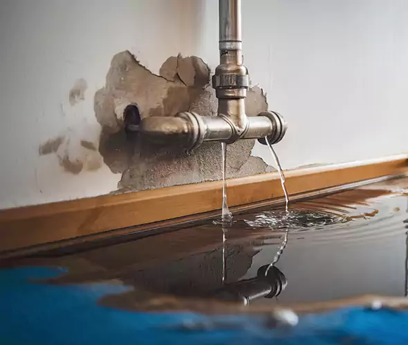 Professional Water Damage Restoration Experts in Renton, WA — Fast, Reliable & Certified