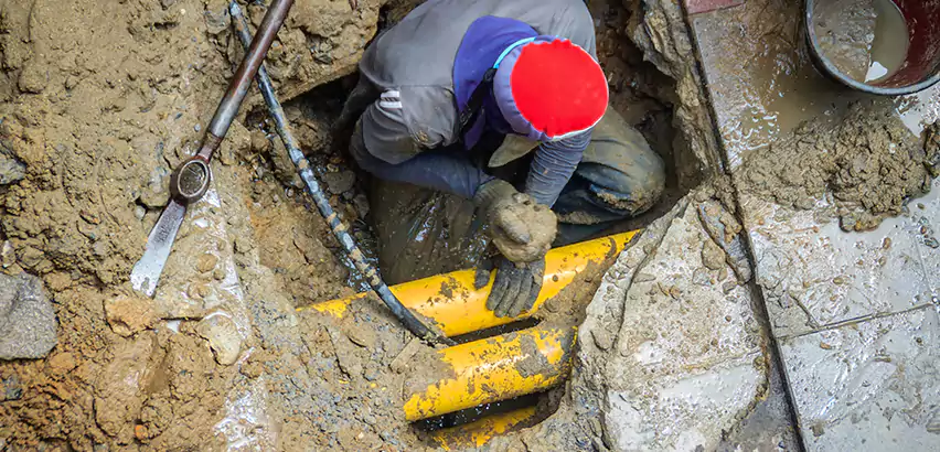 Clogged Drain Repair in Renton, WA