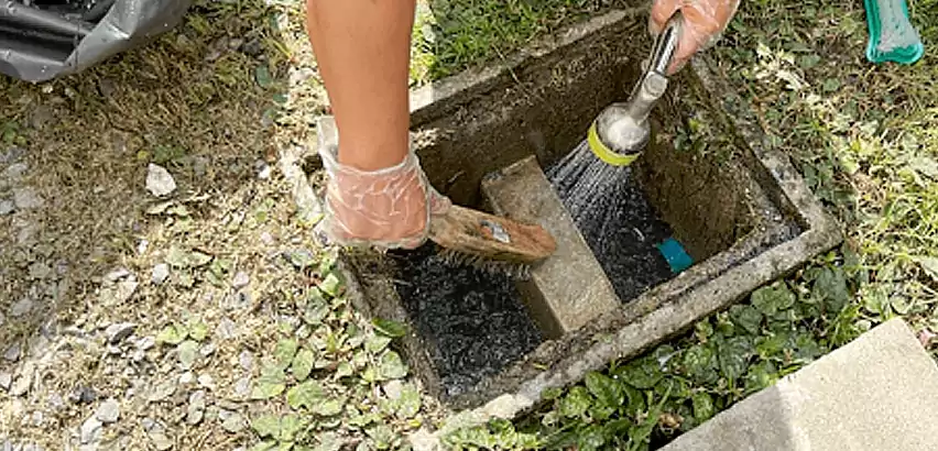 Professional Grease Trap Cleaning Services in Renton, WA