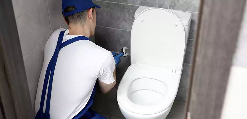 Toilet Lid Replacement in Renton