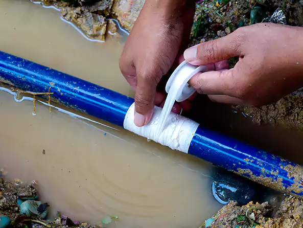  Why Choose Fox Plumbing Renton for Leak Detection in Renton, WA?]