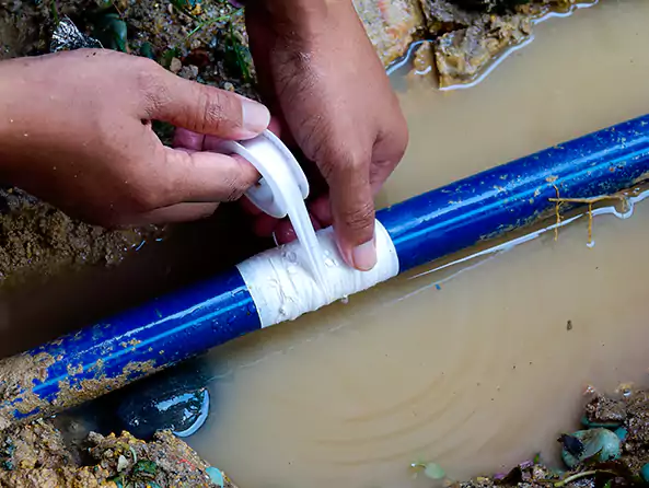 Why Choose Fox Plumbing Renton for Water Line Replacement in Renton, WA?