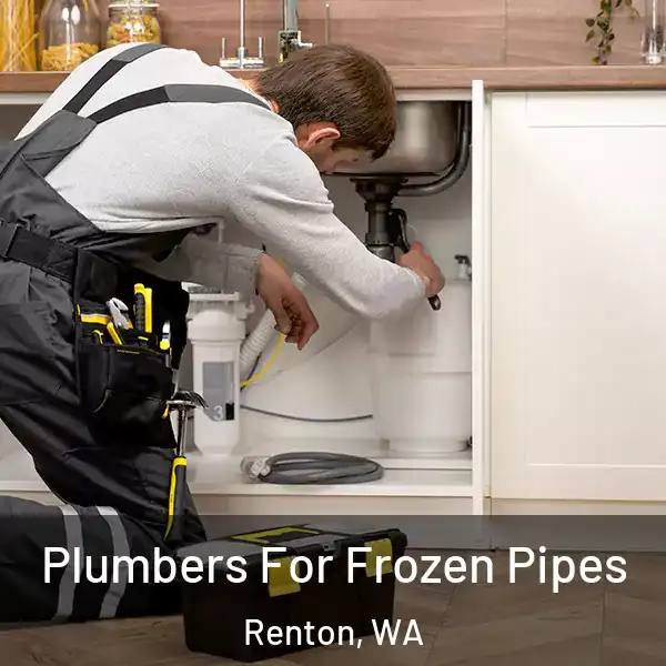  Plumbers For Frozen Pipes Renton, WA