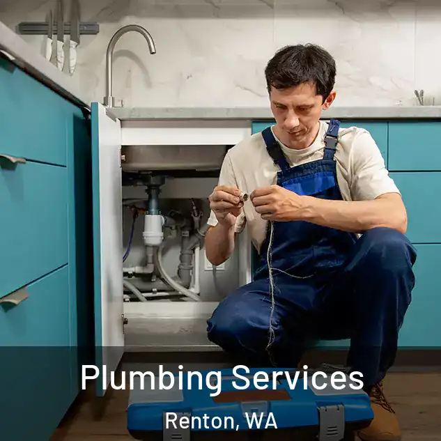Plumbing Services Renton, WA