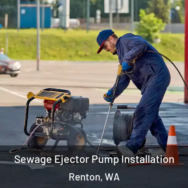 Sewage Ejector Pump Installation Renton, WA