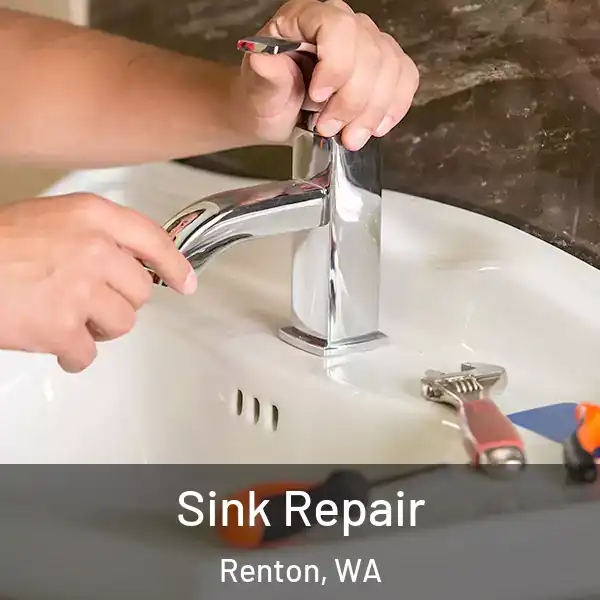  Sink Repair Renton, WA