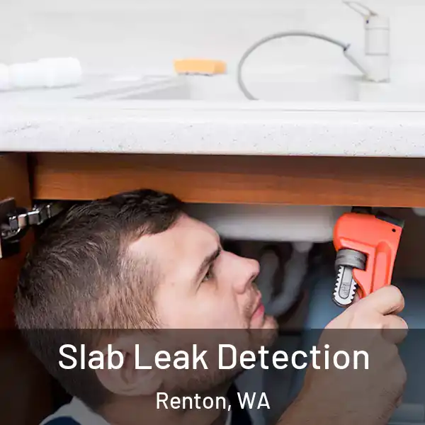  Slab Leak Detection Renton, WA