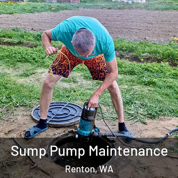  Sump Pump Maintenance Renton, WA