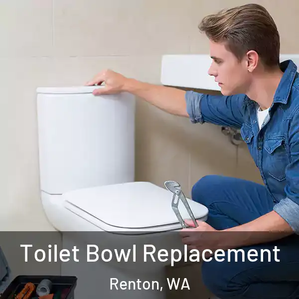  Toilet Bowl Replacement Renton, WA