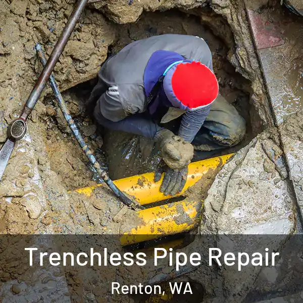  Trenchless Pipe Repair Renton, WA