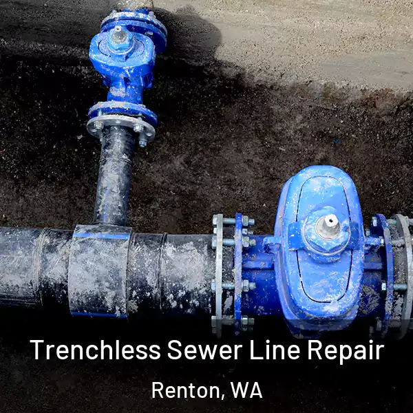  Trenchless Sewer Line Repair Renton, WA
